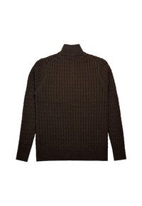 Brązowy sweter dzianinowy z wysokim kołnierzem, z fakturowanym wzorem oraz ściągaczami na rękawach i u dołu. Wyświetlony z tyłu.