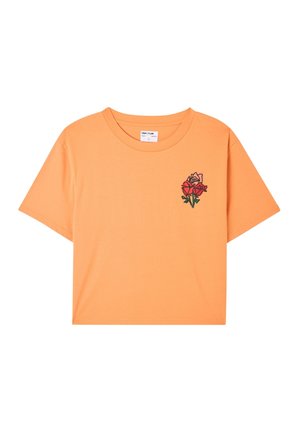 UNISEX AMPIA CON TRNPOPLAB - T-shirt con stampa - melone