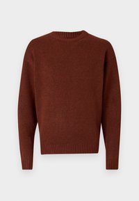 JOROLLIE CREW NECK - Pulover - brown