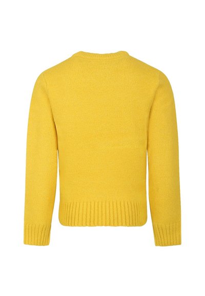 Maglione giallo lavorato a maglia con colletto rotondo, orlo a costine e maniche lunghe. Texture liscia con un colore uniforme, senza ulteriori motivi o accenti.