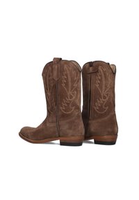 Brown suede cowboy boots with a pointed toe, decorative stitching patterns, side zipper, and a low stacked heel.