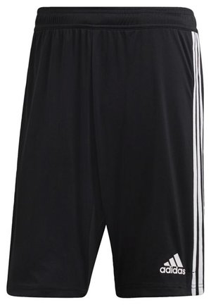 adidas Performance, TIRO 19 TWO-IN-ONE SHORTS - Pantalón corto de deporte - black/white