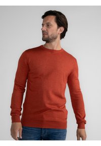 Petrol Industries - Sweter