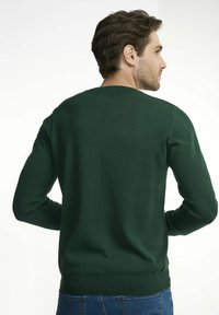 Zielony sweter robiony na drutach z okrągłym dekoltem, długimi rękawami oraz ribbowymi mankietami i dołem. Gładka faktura, dopasowany krój, pokazany z tyłu.