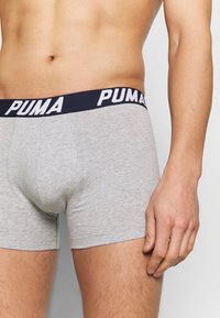 Puma SPACEDYE STRIPE BOXER 2 PACK - Trunks - blue combo
