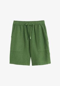 Nepasirinkta, green willow