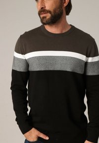 Pull à col rond avec des rayures horizontales en vert foncé, blanc, gris clair et noir. Fabriqué en matière tricotée douce avec des manches longues.