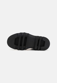 AllSaints ALEXIA  - Snørestøvler - black
