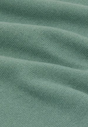 Reiss, REGULAR FIT - MONARCH ATELIER CREW NECK - Striktrøje - teal green