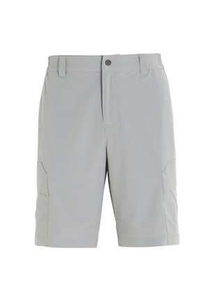 Slam Shorts - aluminium