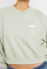 Sweat-shirt court vert clair avec manches raglan. Présente un logo Levi's blanc sur la poitrine, fabriqué en coton doux.