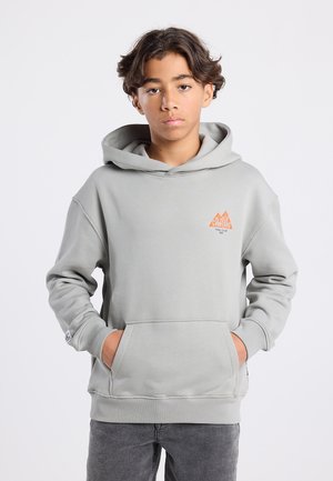 America Today Hoodie - grey
