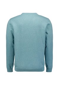 Light blue sweater with long sleeves, a crew neck, and a smooth texture. The back features a regular fit with ribbed cuffs and hem.