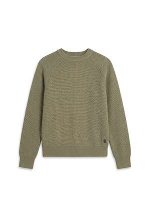 Calvin Klein Jeans, LS WOOL BLEND RAGLAN CREWNK 7GG - Jumper - oil green