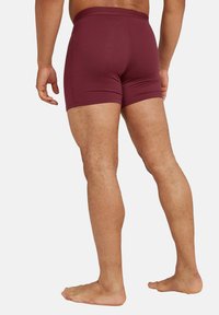 icebreaker MER COOL-LITE ANATOMICA  - Calzoncillos - port