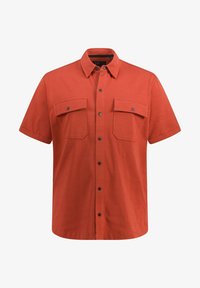 Wybrany, light brown