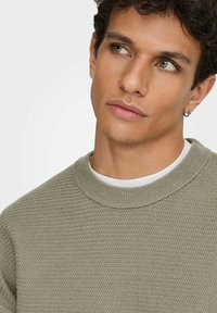 Maglione lavorato a maglia di un verde oliva chiaro con un motivo testurizzato, scollo a girocollo e polsini a costine, indossato sopra una camicia bianca.