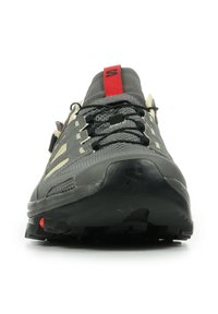 Salomon TECHAMPHIBIAN - Hiking shoes - pewter moth fiery red