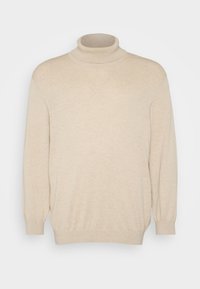 Pull à col roulé beige avec manches longues. Confectionné dans un tissu doux, avec une coupe décontractée et des détails côtelés au niveau du col et de l'ourlet.