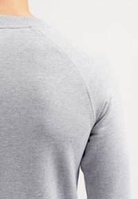 Szara bluza z gładką, miękką fakturą; posiada rękawy raglanowe i okrągły dekolt, podkreślające casualowy i wygodny design.