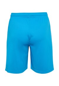 Blå sportshorts gjorda av ett mjukt, lätt tyg. Elastisk midjeband, inga fickor och en mellanlång klipp som når midjan på låret.