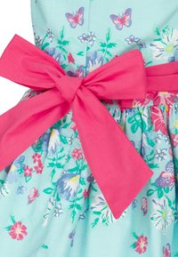 Kukkamekko, jossa on vaaleansininen kangas, jossa on monivärisiä kukkia ja perhosia, sekä leveä vaaleanpunainen nauha vyötäröllä.