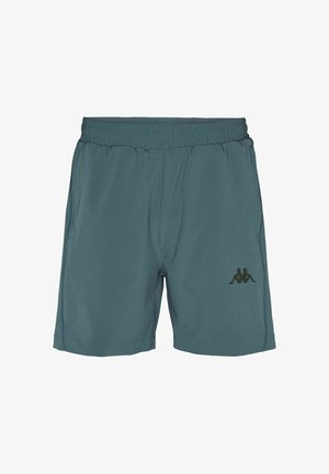 Sinirohelised spordipüksid elastse vöökohaga, kahe küljetaskuga ning musta Kappa logoga vasakul säärel. Sile ja kerge kangas.