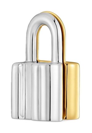 Cadenas métallique argenté et doré avec un anse arrondie et un corps rectangulaire sur fond blanc.