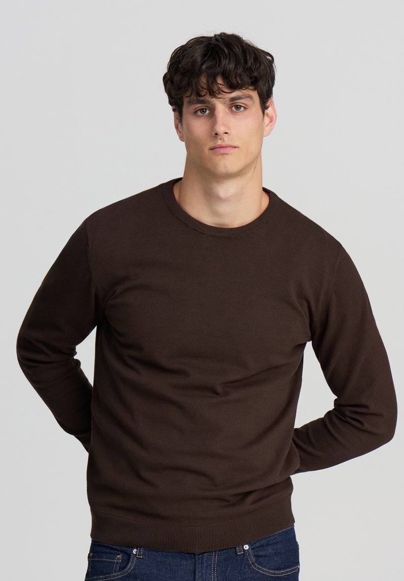 Maglione marrone lavorato a maglia con collo tondo e maniche lunghe. Presenta polsini e orlo a costine. Il modello lo indossa con jeans blu.