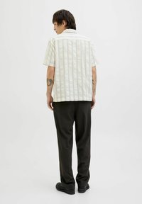 Korte mouwen, lichtgekleurde shirt met verticale strepen; zachte textuur. Gecombineerd met een donkere broek en zwarte schoenen, gezien vanaf de achterkant.