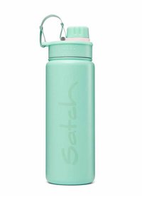 Mintgrüne Edelstahl-Wasserflasche mit Schraubverschluss, integriertem Griff und geprägt Logo. Glatte Textur und zylindrische Form.