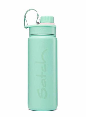 Mintgrüne Edelstahl-Wasserflasche mit Schraubverschluss, integriertem Griff und geprägt Logo. Glatte Textur und zylindrische Form.