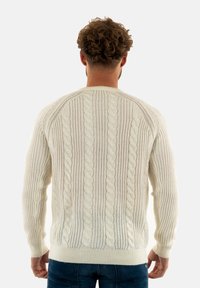 Pullover a maglia cable in off-white, con polsini e orlo a coste, texture a contrasto e un design dalla vestibilità rilassata. Vista posteriore mostrata.