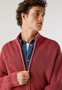 Ung mand iført en rød strikket zip-up sweater over en blå skjorte med knapper, holder i sweaterens lynlås og kigger sidelæns mod en ensfarvet baggrund.