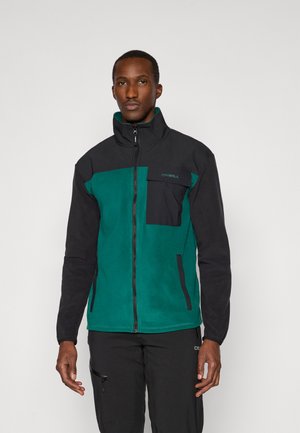 FWC'PEAK POLARTEC - Forro polar - emerald envy