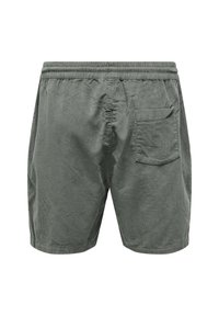 Only & Sons ALFI - Shorts - grau