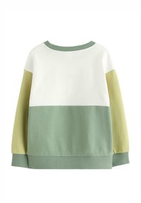Zielona i biała bluzka z kolorowymi blokami. Ma okrągły dekolt, długie rękawy oraz ściągacze. Wykonana z miękkiego materiału bawełnianego.
