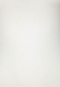 Bela, gladka tkanina z rahlo sijajem. Površina je enotna, z diskretno teksturo, brez vzorcev ali izrazitih podrobnosti.