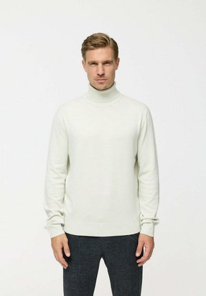 Hellgrauer Rollkragenpullover aus weichem Strickstoff. Merkmale sind lange Ärmel, ein taillierter Schnitt und eine glatte Textur. Kombiniert mit dunklen Hosen.