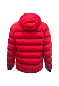 Rote Puffjacke mit Kapuze, mit einem gesteppten Design, elastischen Bündchen und einer glatten Textur. Die Rückansicht zeigt auffällige horizontale Nähte.