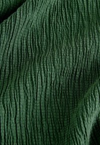 Next REGULAR FIT - RAGLAN SHORT SLEEVE TEXTURED  - Paprasti marškinėliai - green