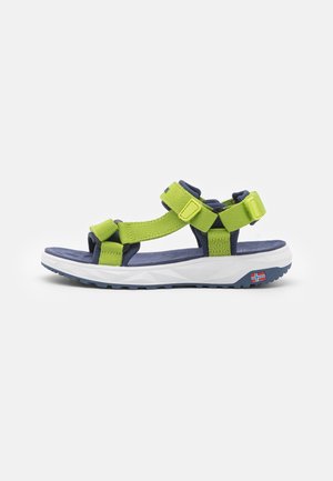 Sandal verde și bleumarin cu un design cu curea ajustabilă, talpă căptușită și talpă texturată. Prezintă un accent proeminent aproape de călcâi.