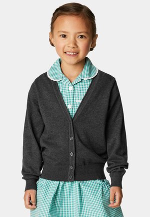 Junges Mädchen, das lächelt und einen dunkelgrauen, geknöpften Cardigan über einem grün-weißen karierten Kleid mit einem Kragen aus weißem Stoff trägt.