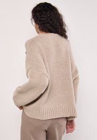 Apricot EMBROIDERED FLOWER  - Strickpullover - stone