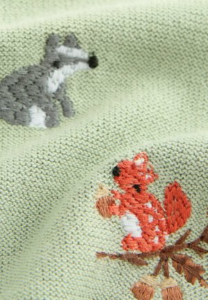 Next REGULAR FIT - ALL OVER EMBROIDERED - Pitkähihainen paita - sage green