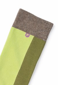 Floris van Bommel SOKKI 01 - Calze - green
