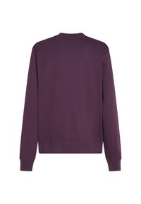Paars sweatshirt met lange mouwen, ronde hals, ribgebreide manchetten en zoom. Gemaakt van zachte stof met een gladde textuur en zonder zichtbare details.