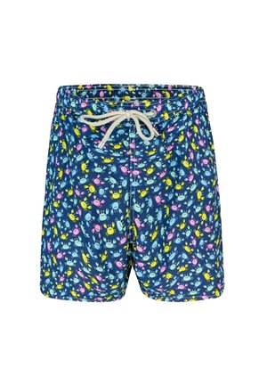 LIGHTNING  - Zwemshorts - multicolore