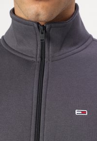 Felpa grigia con zip e colletto alto, cerniera nera e un piccolo logo ricamato nei colori rosso, bianco e blu. Tessuto morbido.