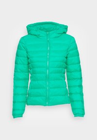 Não selecionado, simply green